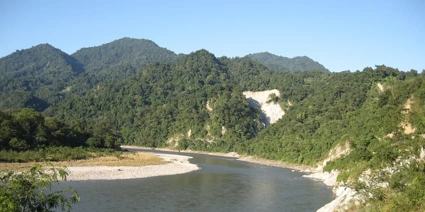 A clear forest river running over pale stones below broadleaf trees in southern Bhutan