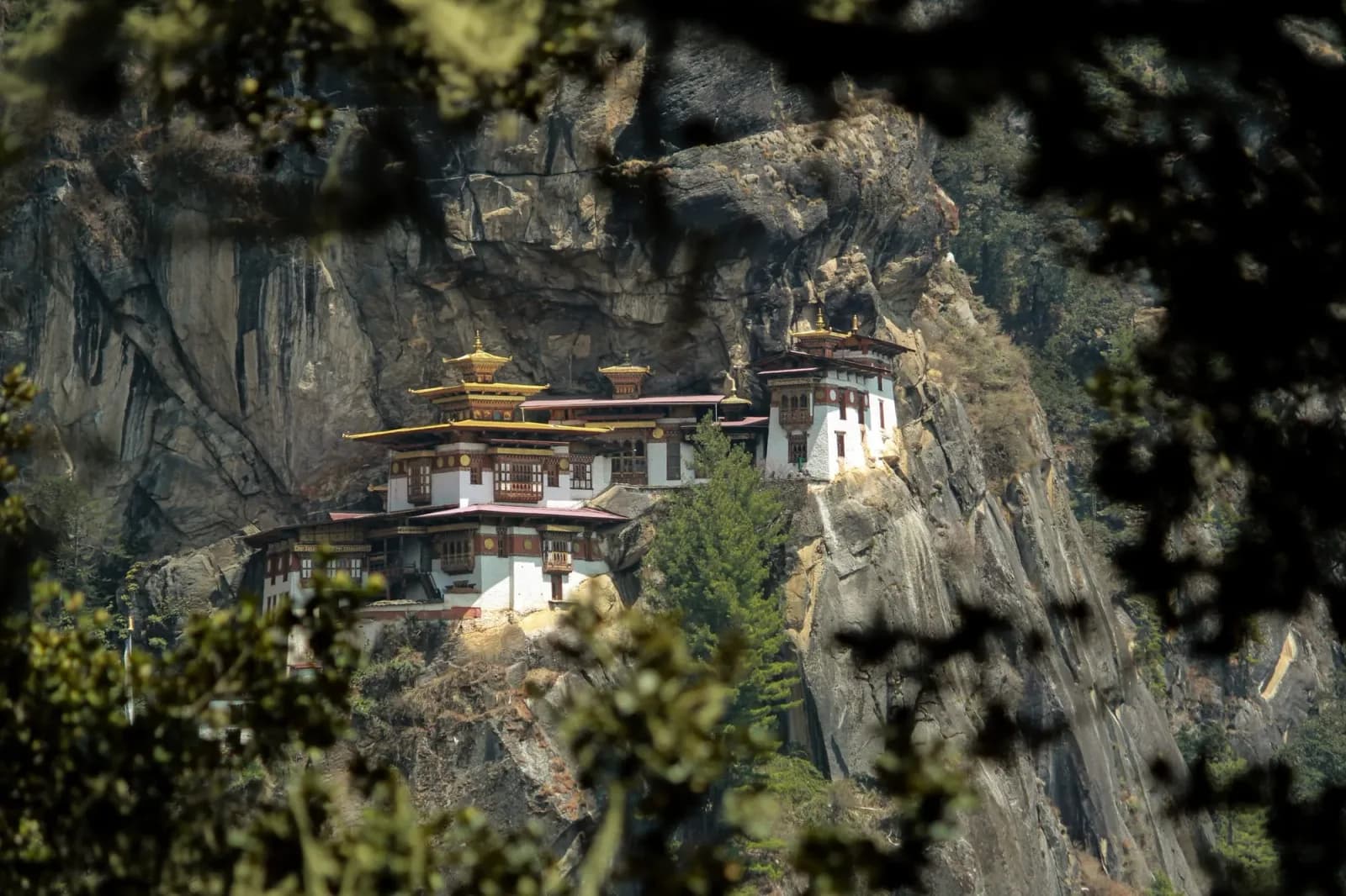 Clouds spilling over forested ridges below the Taktsang trail in the Paro valley